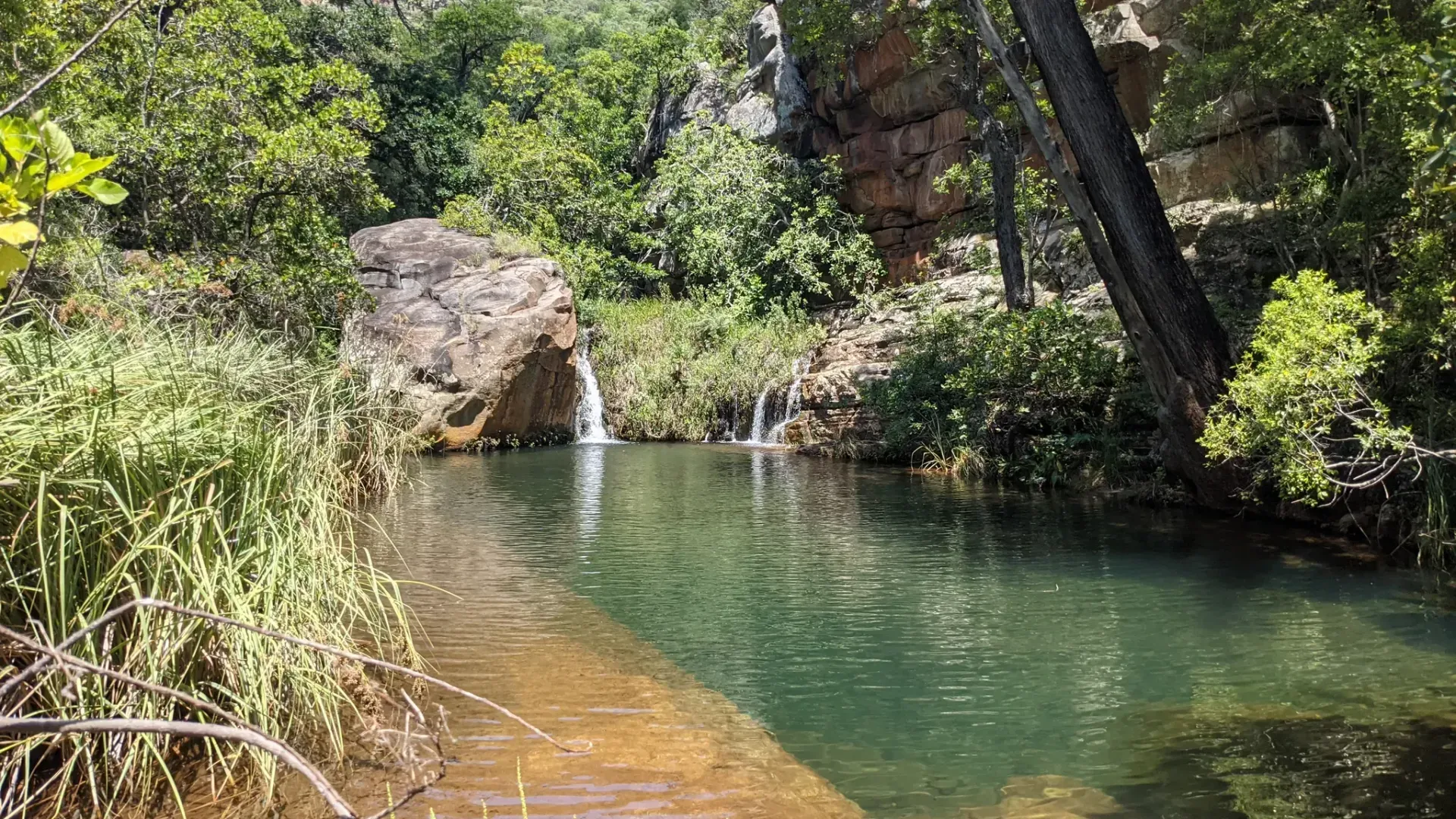 A small pond surrounded by trees and rocks in the middle of a forest.