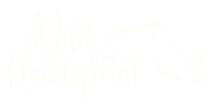 it is a logo for a company called wild about hoedspruit .