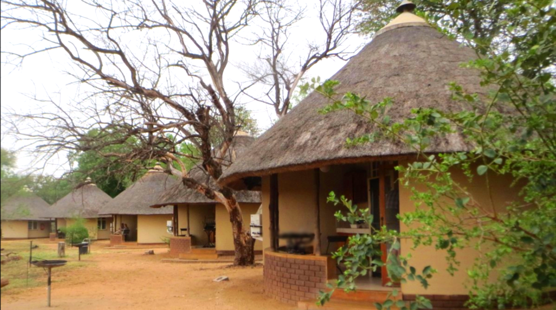 a row of thatched huts with trees in the background in Satara Rest Camp