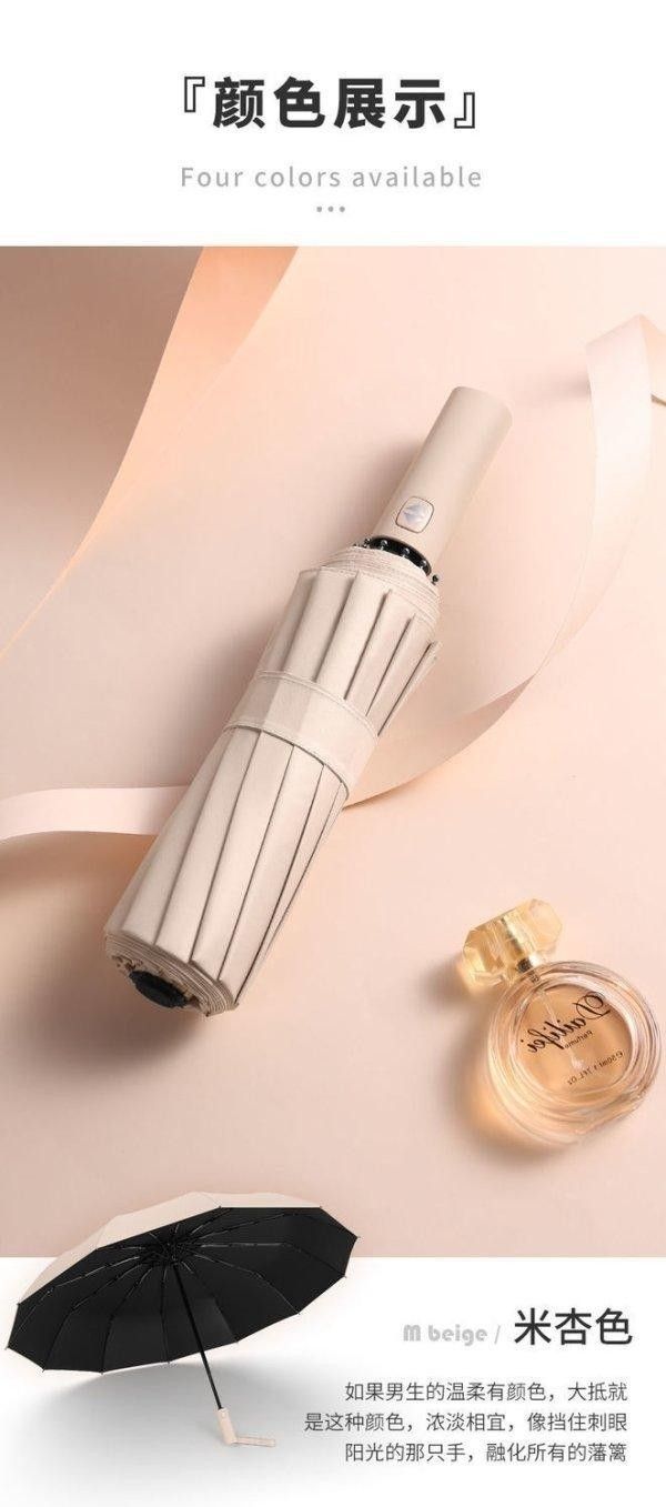 晴雨兩用全自動12骨抗暴傘