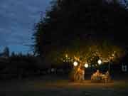 Party under the tree - Electrical Contractor in Queenstown, MD