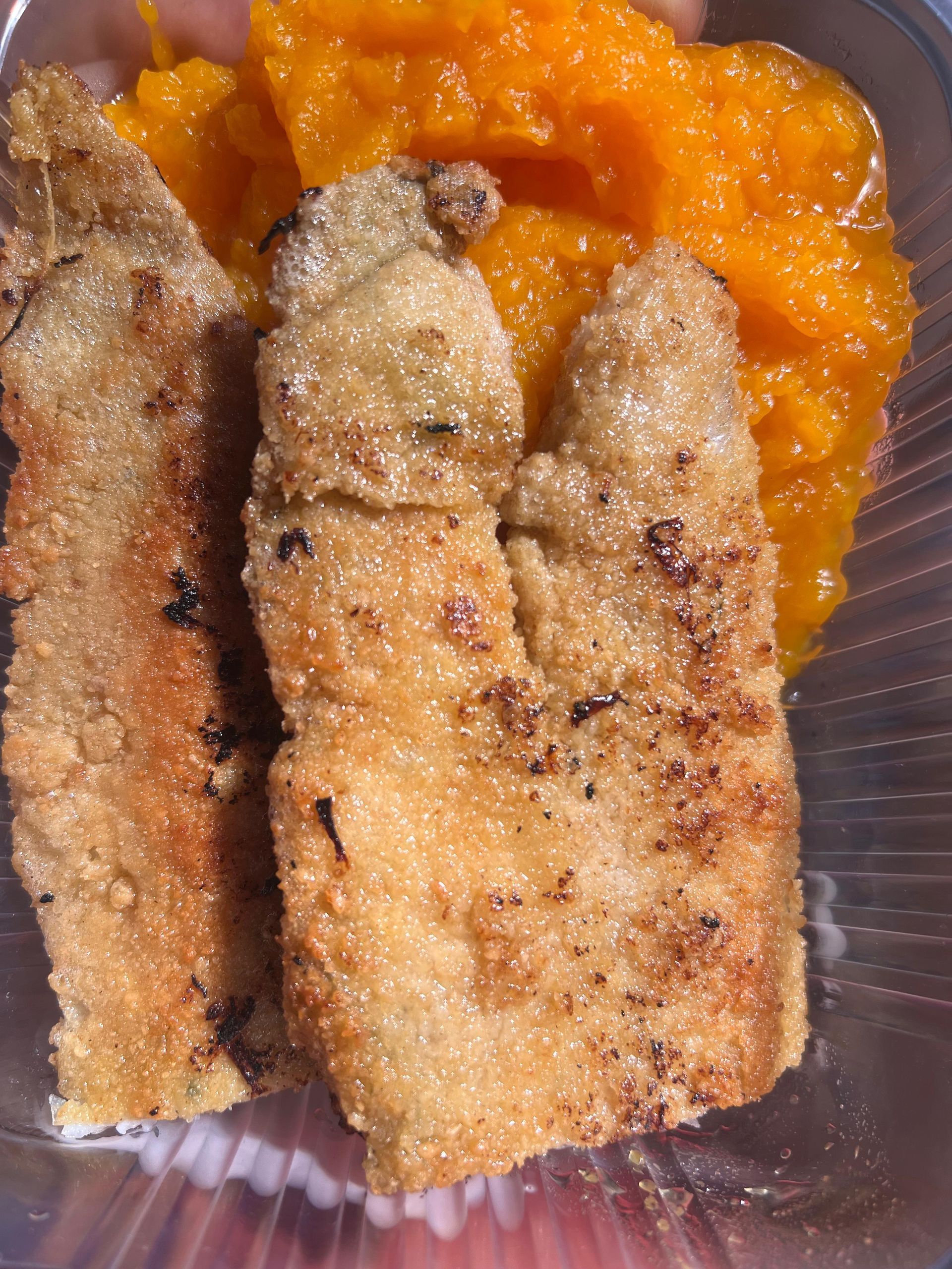 Una persona sostiene un plato de comida con carne y puré de patatas.