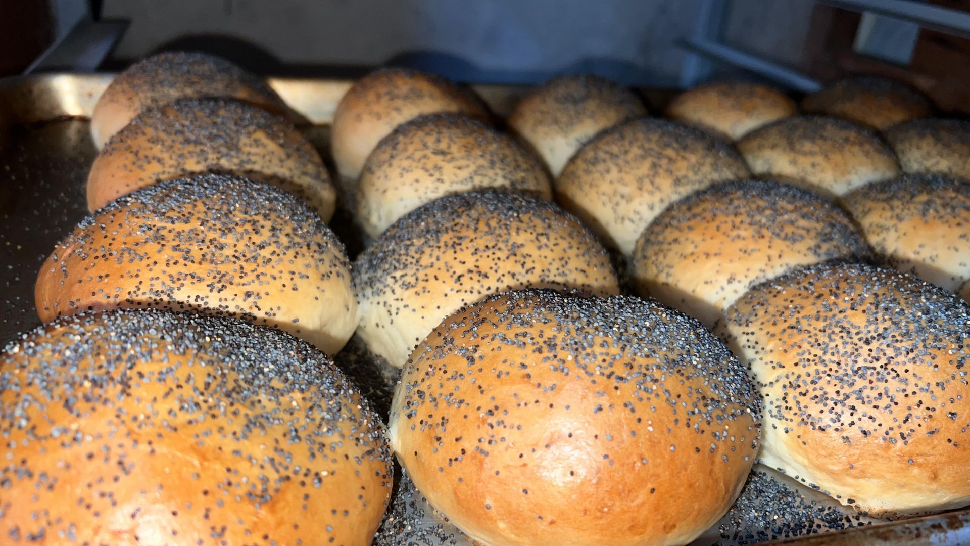 Un montón de bollos con semillas de amapola sobre ellos están colocados en una bandeja.