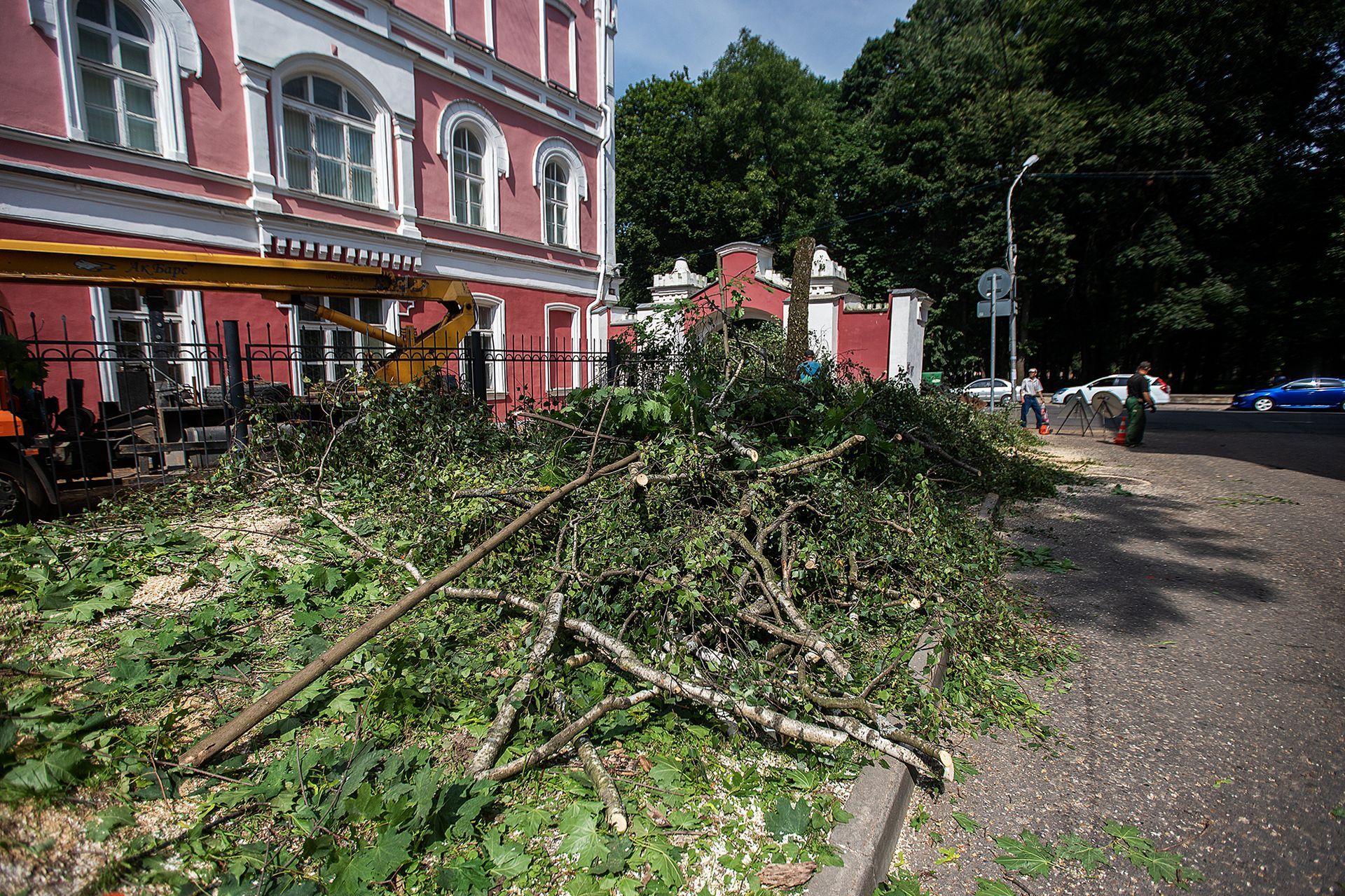 A pile of branches is sitting on the side of the road in front of a building.
