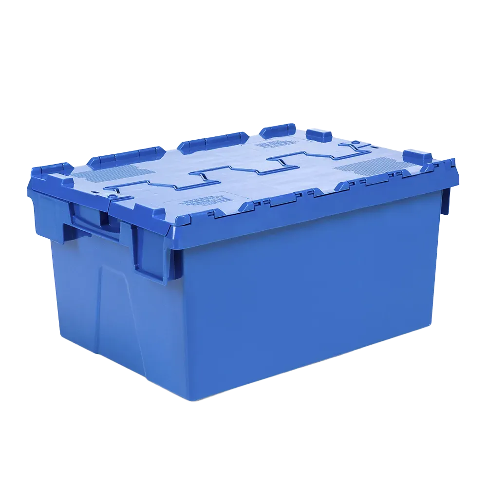 Cajas de plastico con tapa