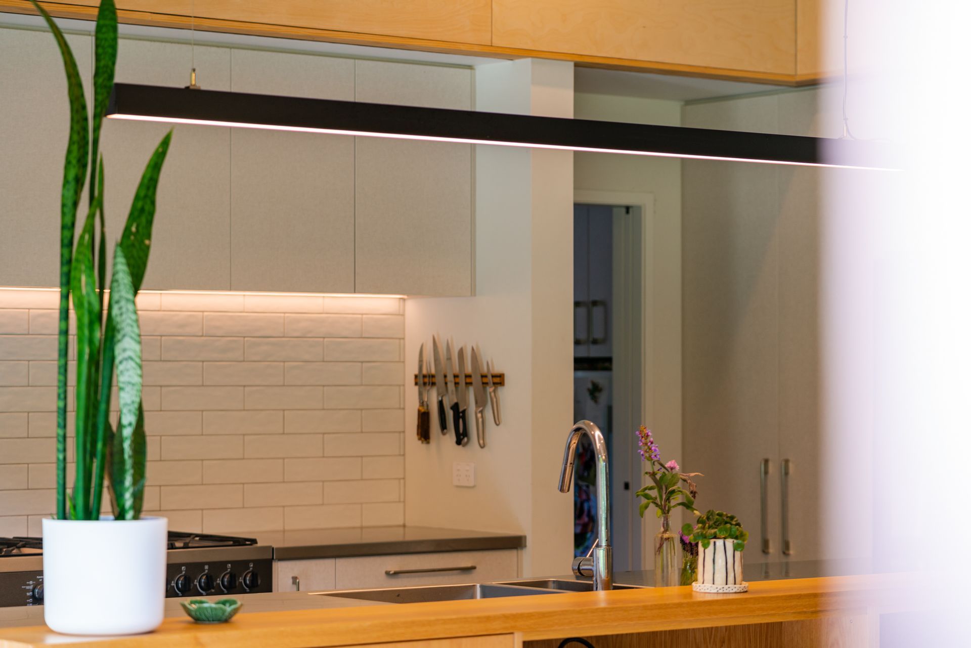 A potted plant is sitting on a counter in a kitchen.