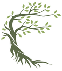 Olive green tree logo for breakup and divorce coach Monika Braglewicz.
