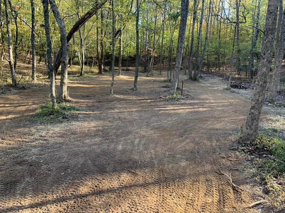 Dirt trail through a forest clearing with trees and sunlight.