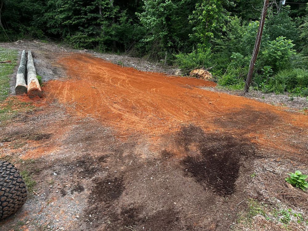 Pile of reddish sawdust and wood rounds on a dirt path, forest background, tire in foreground.