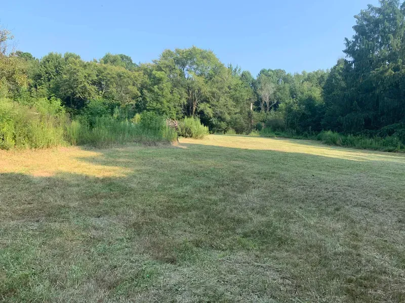 Mowed grassy field with tall trees in background under a blue sky.