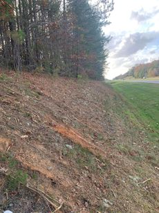 A leaf-covered embankment next to a road and trees, with a blue and cloudy sky.