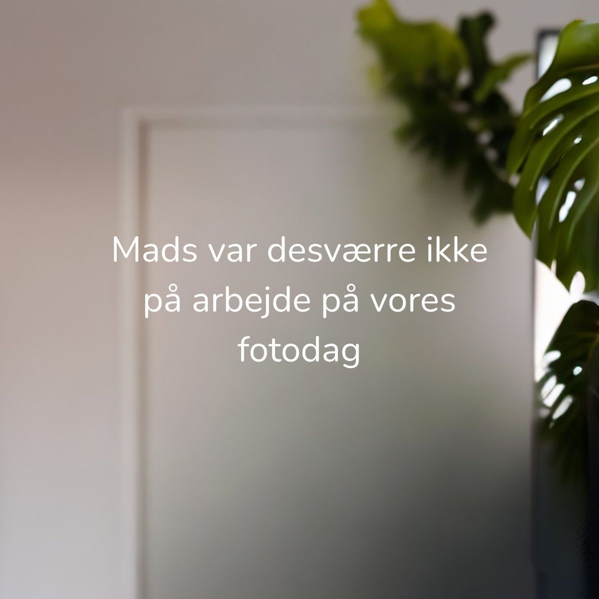Portræt af Mads Damgaard