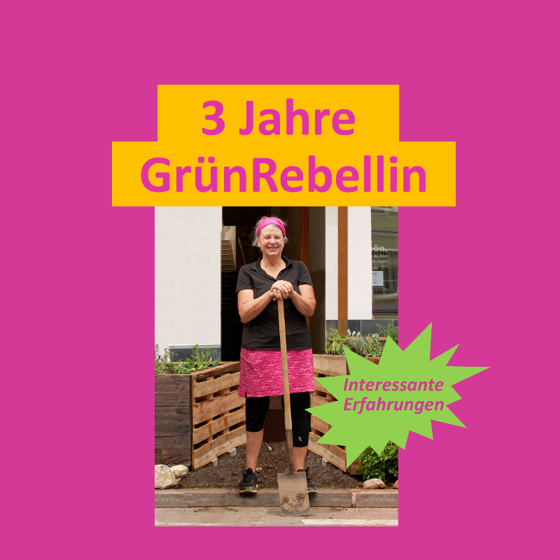Glosse von Dorothee Haering