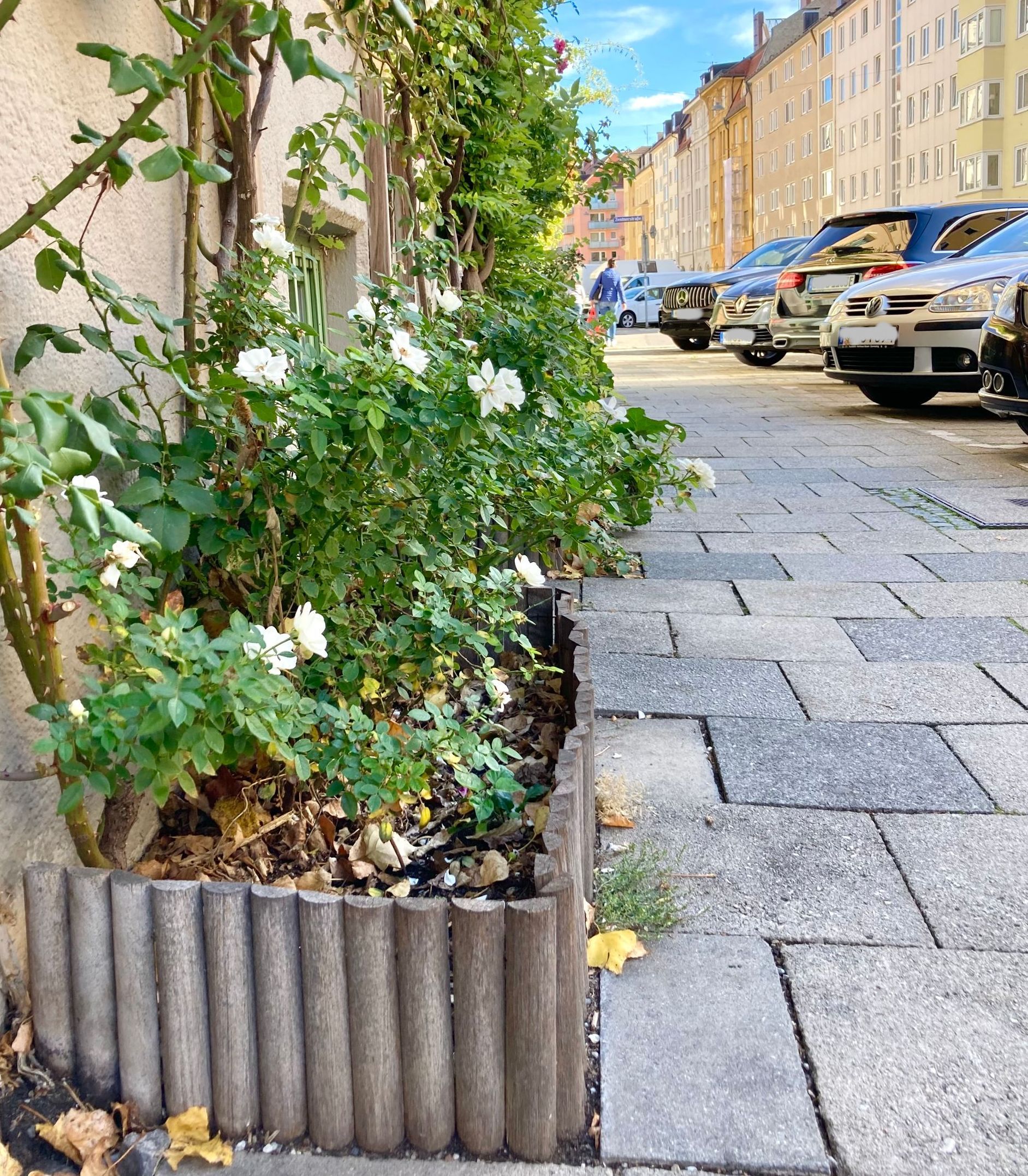 Blühstellen 