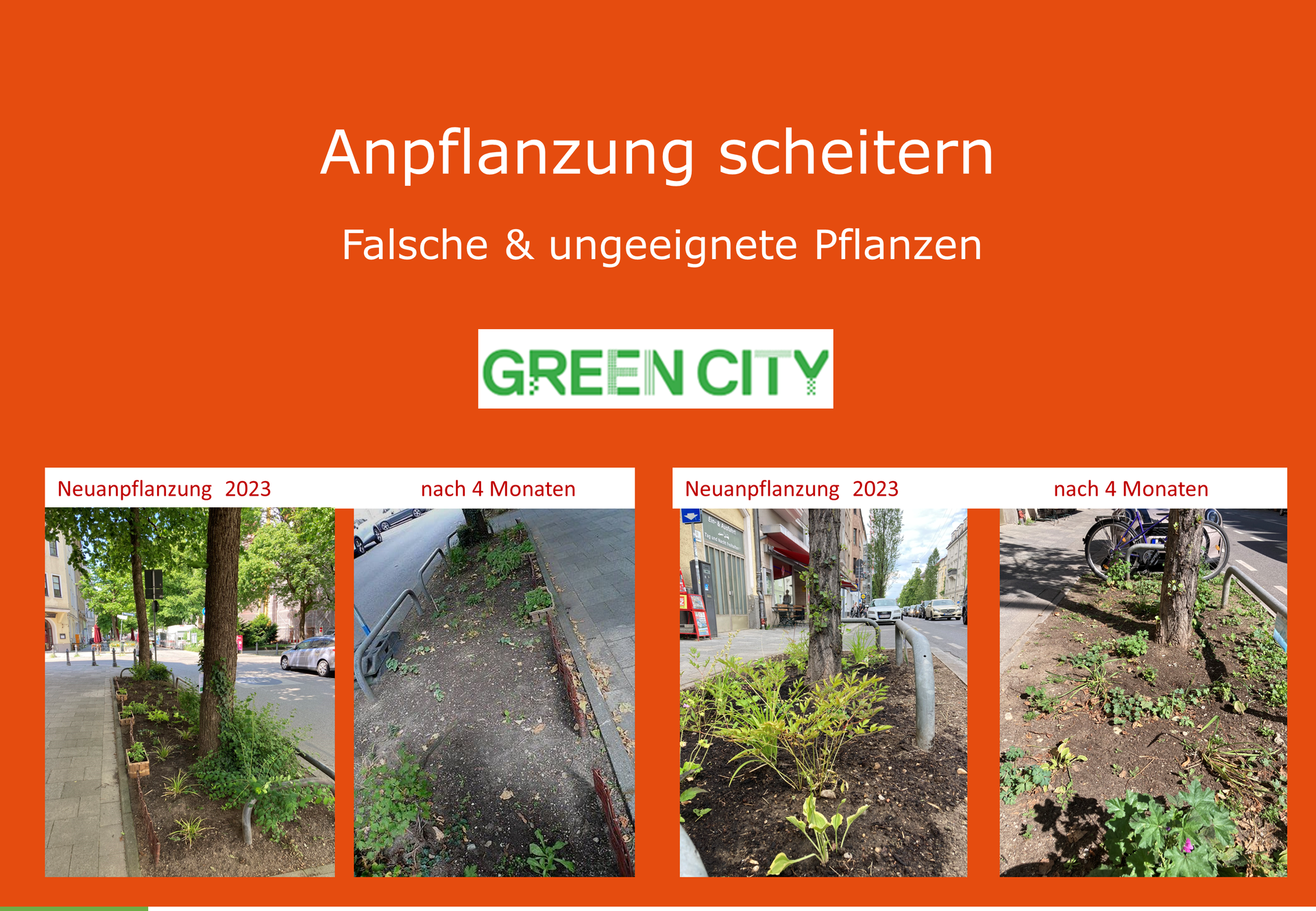 Green City Anpflanzungen scheitern