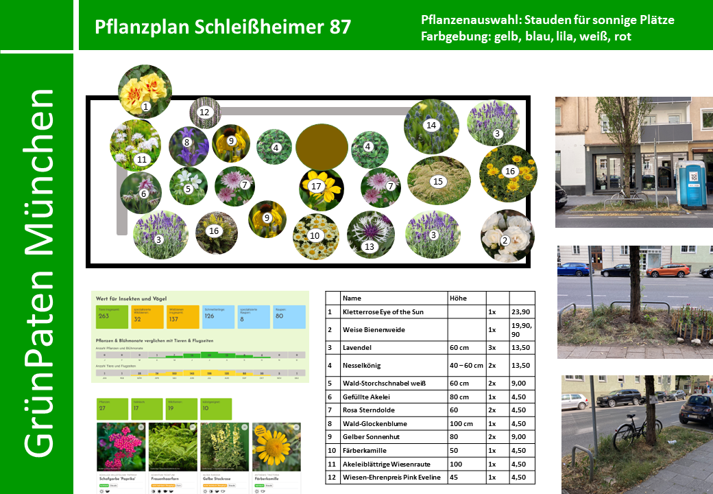 PflanzenPlan GrünPaten Sonnig