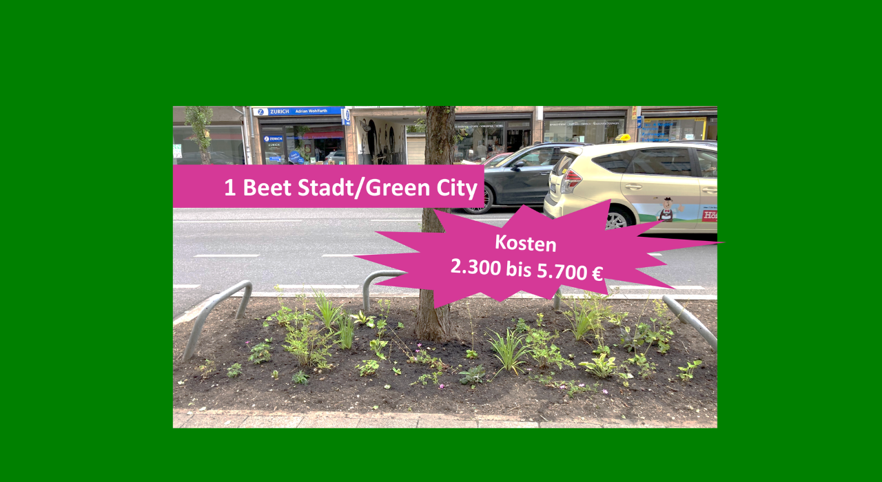 Green City Grünpaten Pflanzen