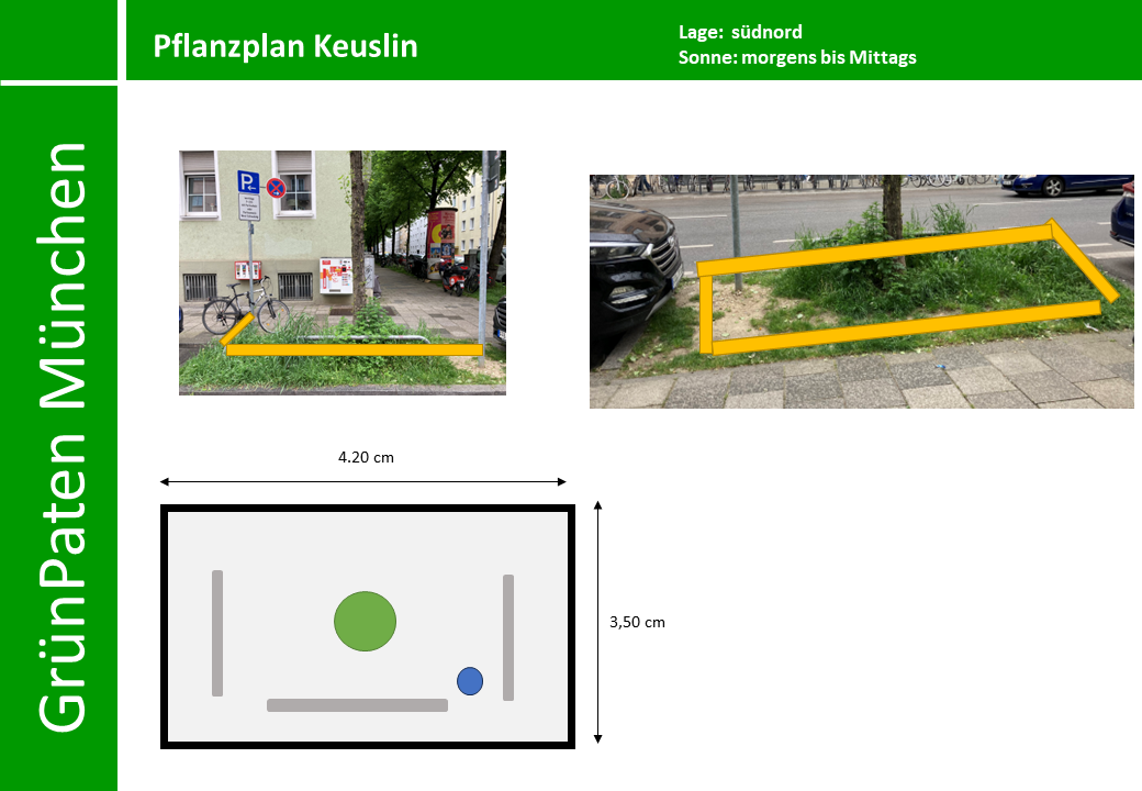PflanzenPlan GrünPaten