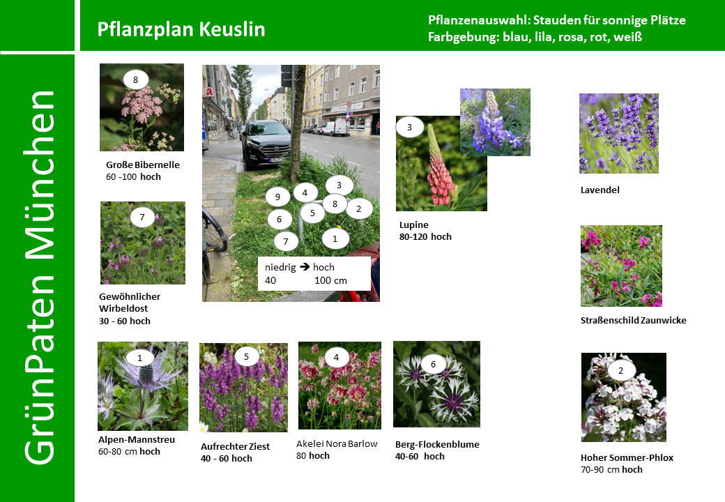 PflanzenPlan GrünPaten