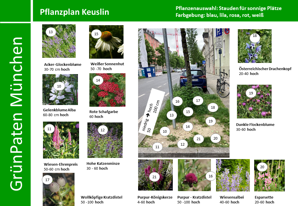 PflanzenPlan GrünPaten