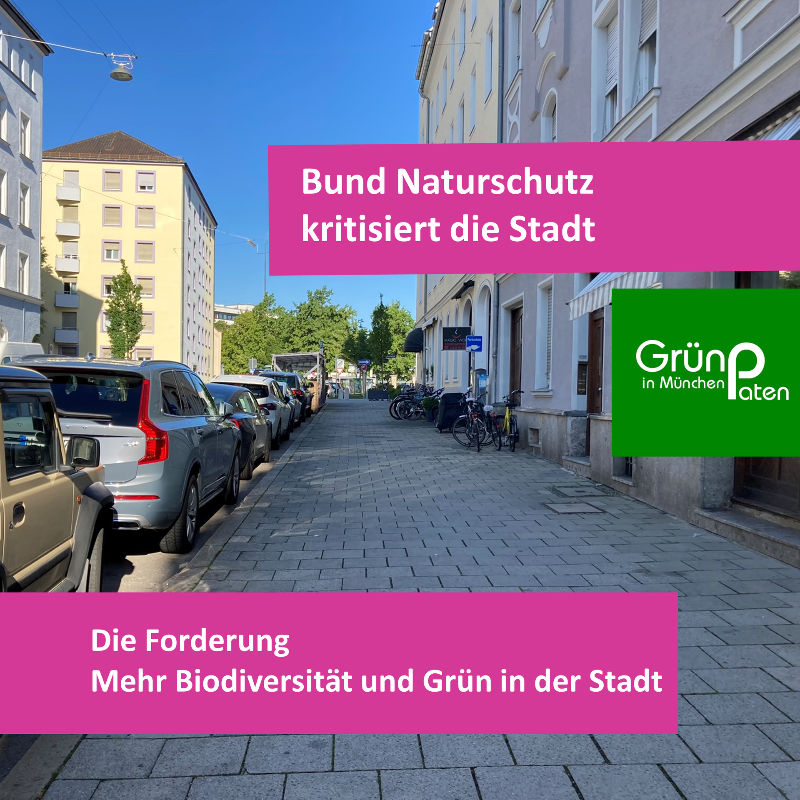 Bund Naturschutz kritisiert Stadt München