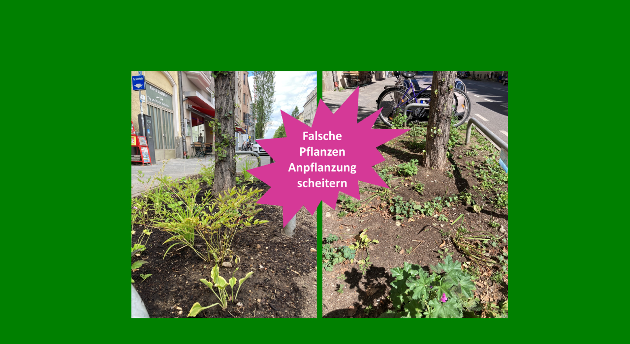 Green City Grünpaten Beet