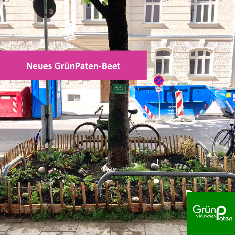 GrünPaten Beet Georgenstraße 91