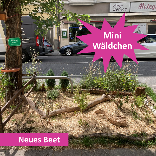  Mini-Tiny-Forest GrünPaten München