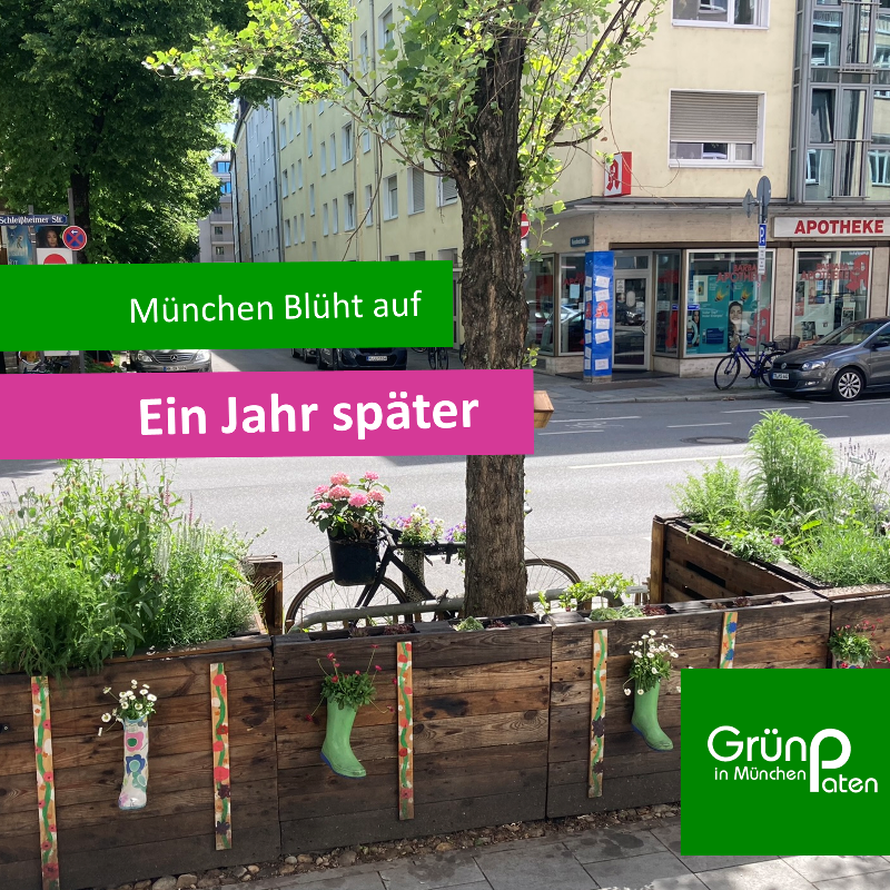 GrünPaten München Hochbeete