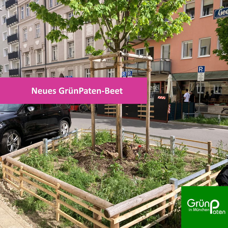 Neues GrünPaten Beet Georgenstraße
