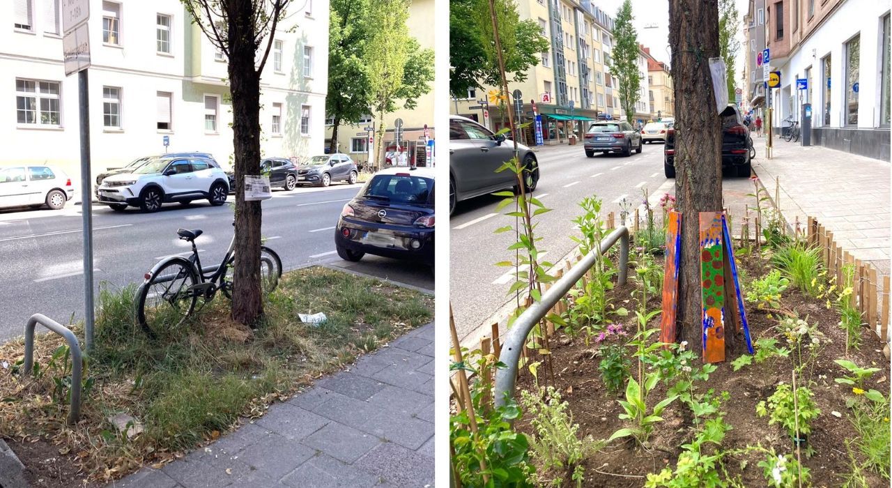 GrünPaten Beet vorher nacher