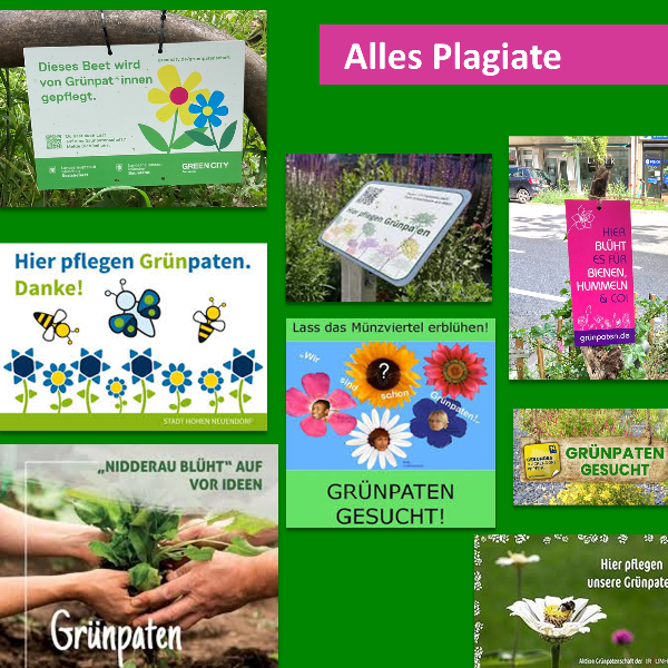 Green City Plagiats-Vorwurf an Dorothee Haering / GrünPaten
