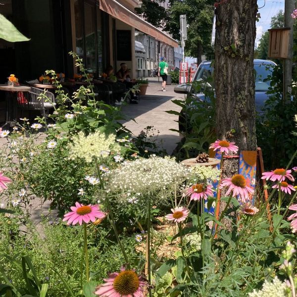 Plane Dein GrünPatenbeet