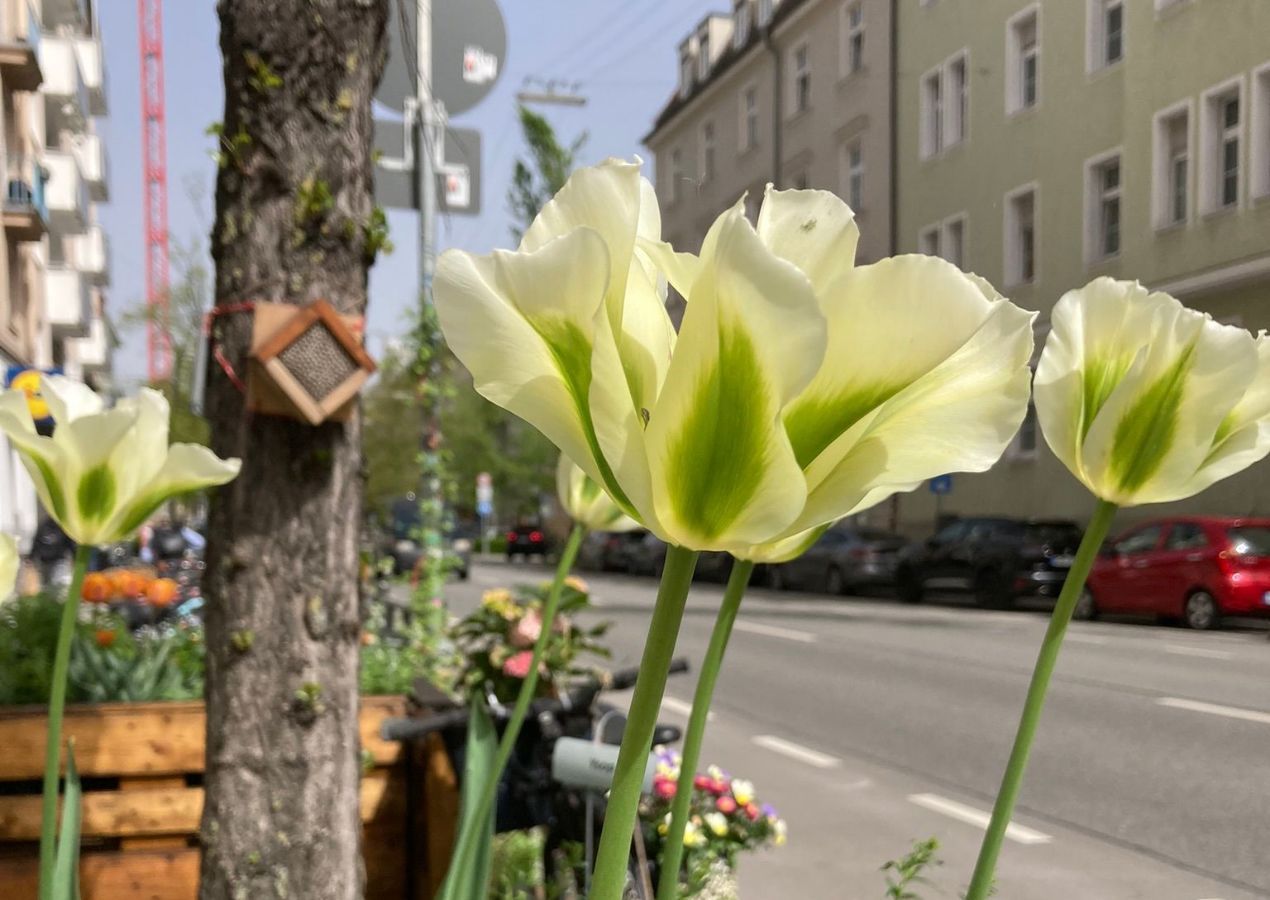 Ökologische Vielfalt München GrünPaten