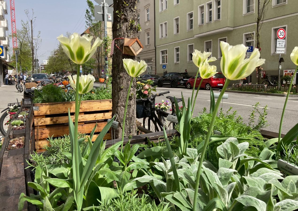 Ökologische Vielfalt München GrünPaten