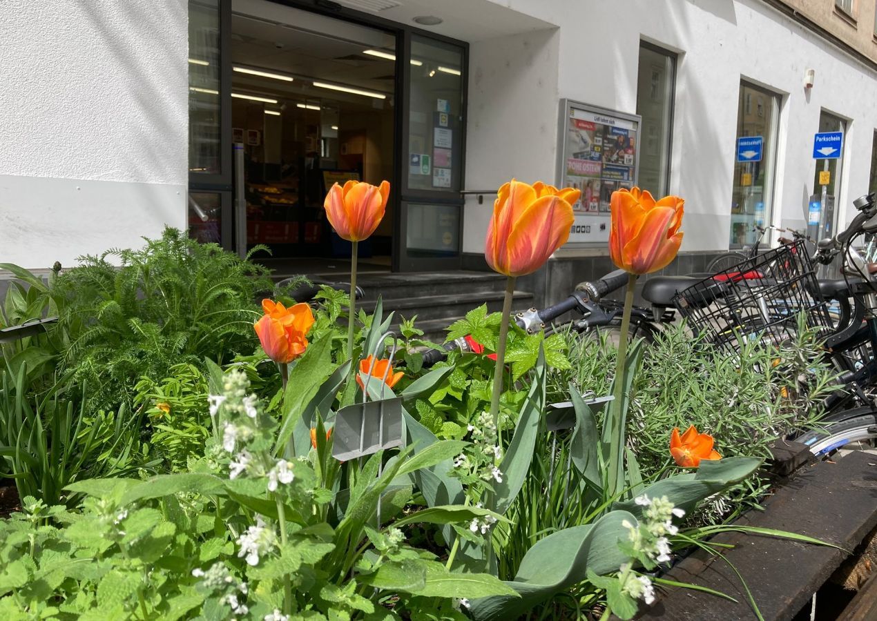 Ökologische Vielfalt München GrünPaten