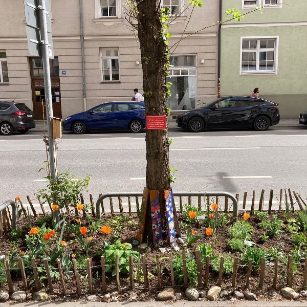 GrünPaten Beet Cafe Höflinger