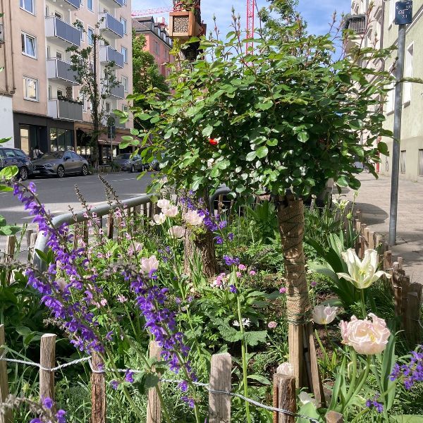 Grünpaten Beet Schwabing