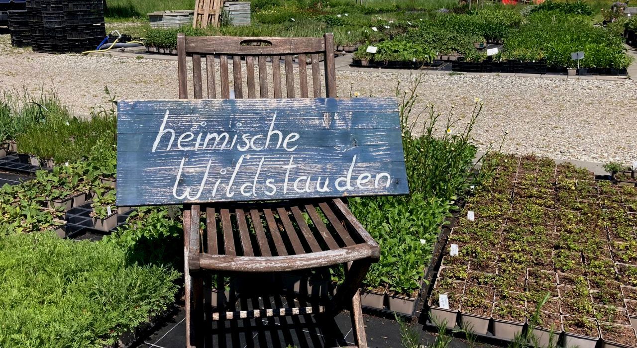 GrünPaten München Wildstauden