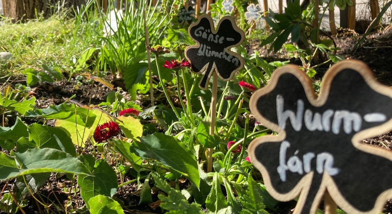 Biodiversität in München
