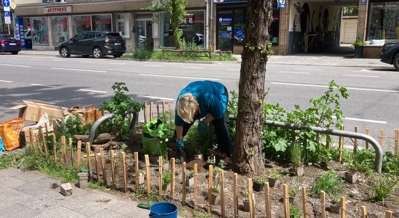 GrünPaten erobern die Schleißheimerstraße in Schwabing