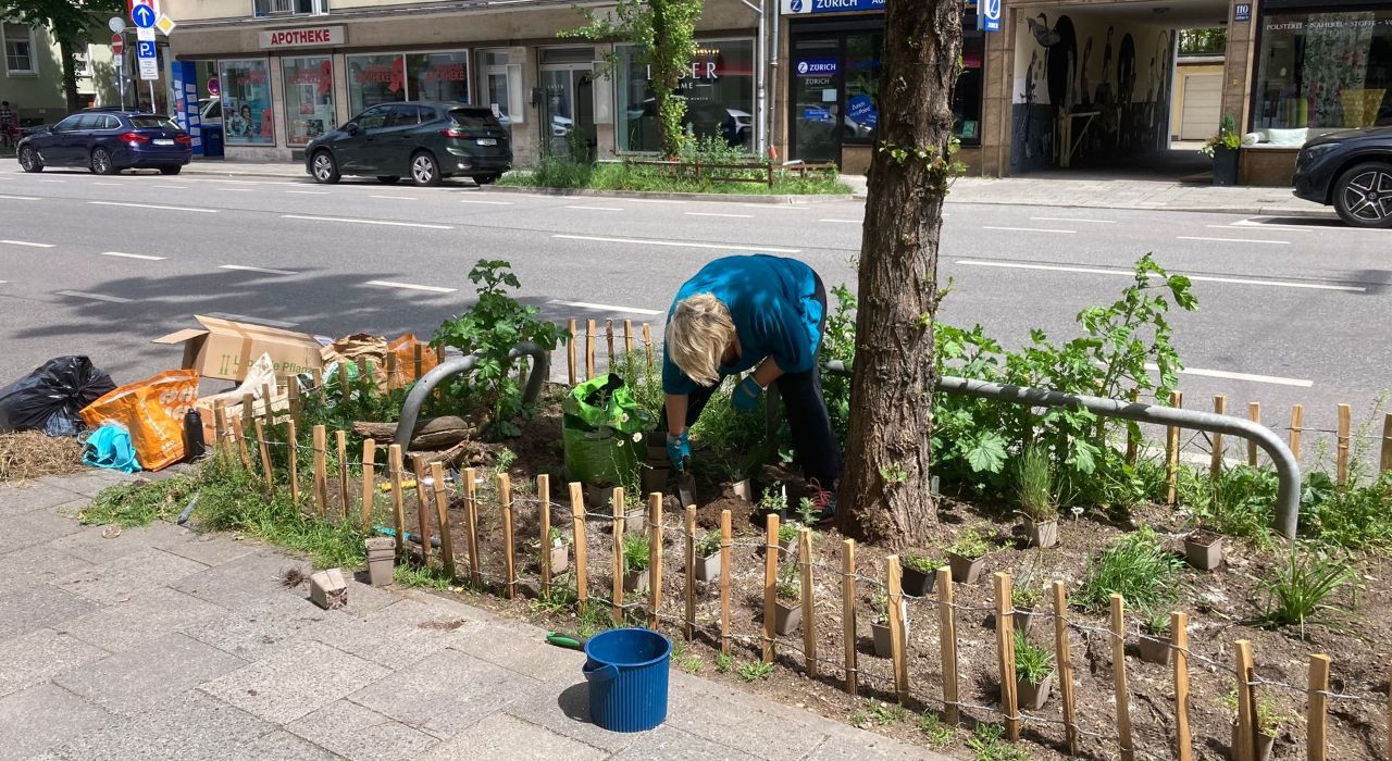Grünpaten bepflanzen ein Beet