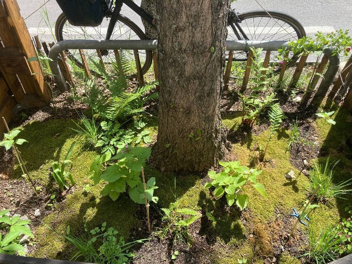 Mehr Grün für München