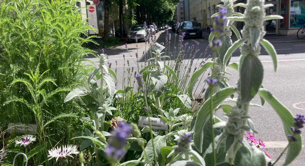Biodiversität in München