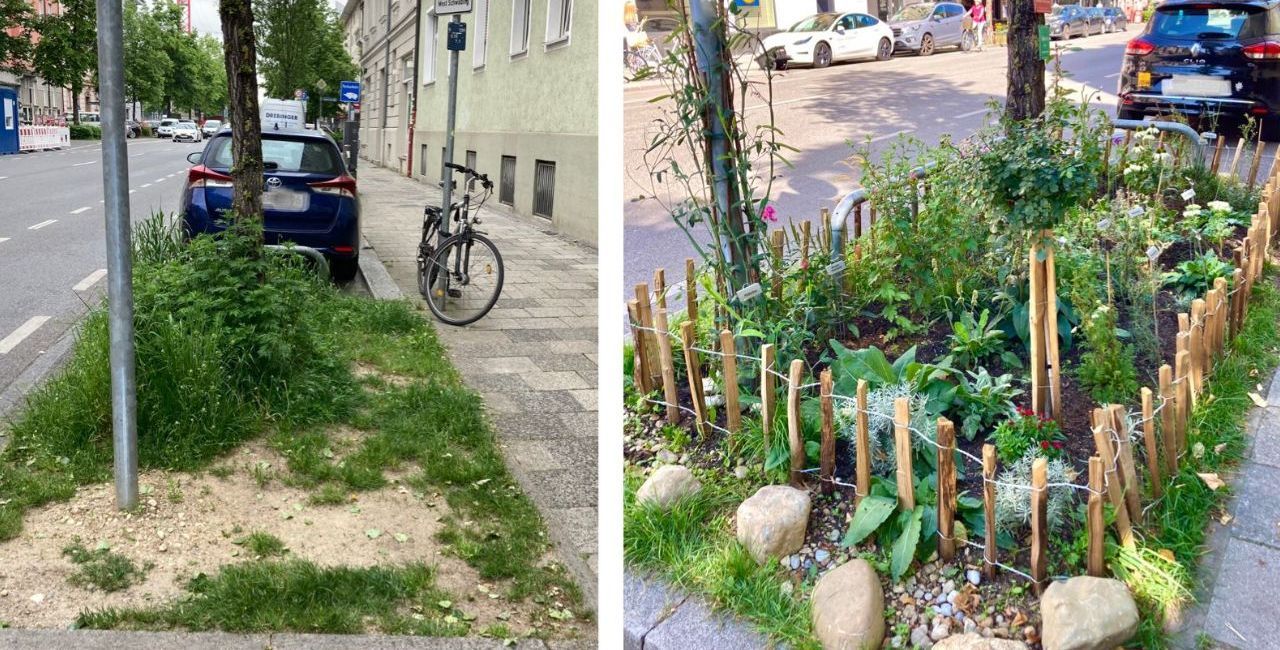 Vorher nacher GrünPaten-Beet