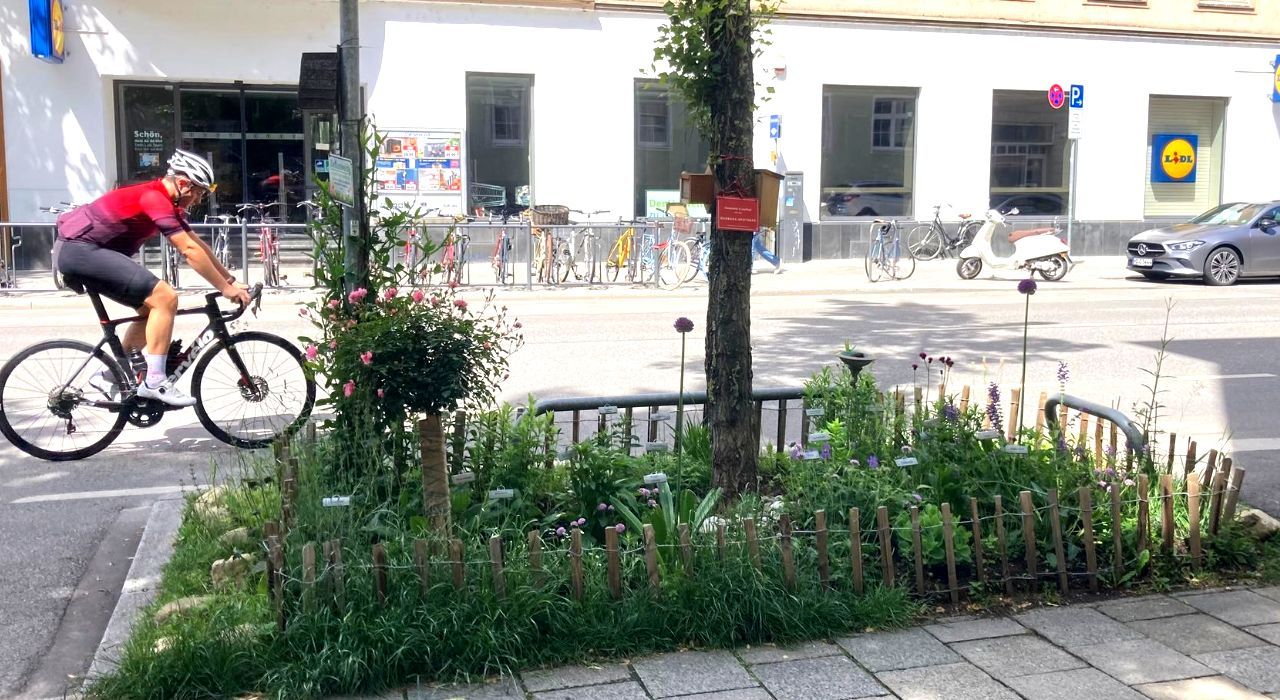 GrünPaten Beet Schwabing