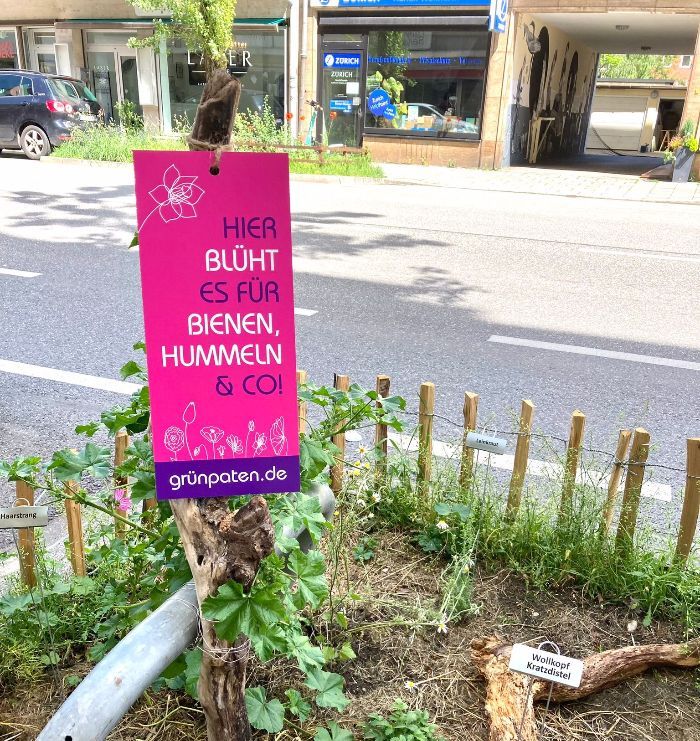 GrünPaten München. Hier blüht es für Bienen, Hummel & Co