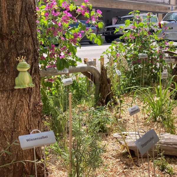 Plane Dein Hitzekünstler-Beet