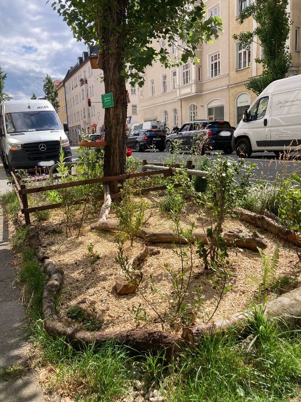 Mini-Tiny-Forest GrünPaten München nach Miyawaki