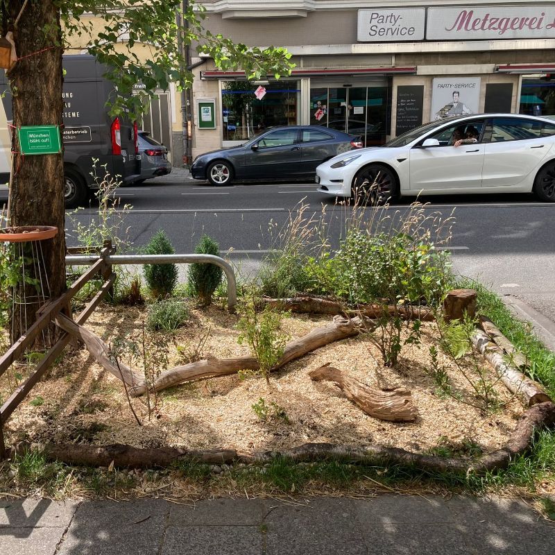 Tiny Forest Schwabing München Grünpaten